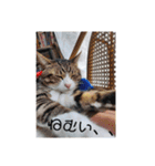 優香の愉快な仲間たち（個別スタンプ：3）