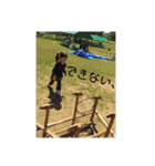 優香の愉快な仲間たち（個別スタンプ：5）