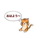 子猫の一言イラスト編-5（個別スタンプ：1）