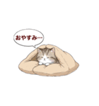 子猫の一言イラスト編-5（個別スタンプ：2）