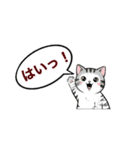 子猫の一言イラスト編-5（個別スタンプ：5）