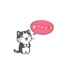 子猫の一言イラスト編-5（個別スタンプ：6）