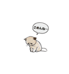 子猫の一言イラスト編-5（個別スタンプ：7）
