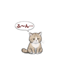 子猫の一言イラスト編-5（個別スタンプ：9）