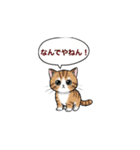 子猫の一言イラスト編-5（個別スタンプ：12）