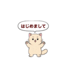 子猫の一言イラスト編-5（個別スタンプ：13）