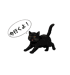 子猫の一言イラスト編-5（個別スタンプ：15）