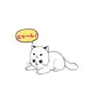 子猫の一言イラスト編-5（個別スタンプ：17）