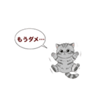 子猫の一言イラスト編-5（個別スタンプ：23）