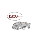 子猫の一言イラスト編-5（個別スタンプ：24）