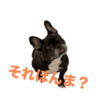 はい5万円（個別スタンプ：2）