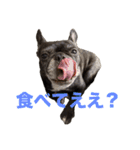 はい5万円（個別スタンプ：3）