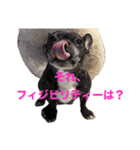 はい5万円（個別スタンプ：9）