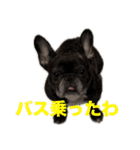 はい5万円（個別スタンプ：20）