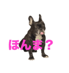 はい5万円（個別スタンプ：23）
