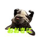 はい5万円（個別スタンプ：24）