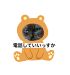 限定333専用（個別スタンプ：3）