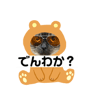 限定333専用（個別スタンプ：4）