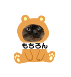 限定333専用（個別スタンプ：6）