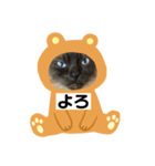限定333専用（個別スタンプ：7）