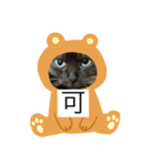 限定333専用（個別スタンプ：9）