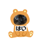 限定333専用（個別スタンプ：10）