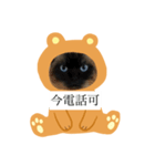 限定333専用（個別スタンプ：11）