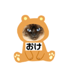 限定333専用（個別スタンプ：12）