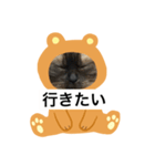 限定333専用（個別スタンプ：14）