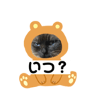 限定333専用（個別スタンプ：17）
