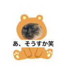 限定333専用（個別スタンプ：18）