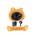 限定333専用（個別スタンプ：20）