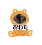 限定333専用（個別スタンプ：23）