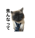 限定333専用（個別スタンプ：26）