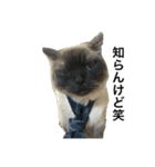 限定333専用（個別スタンプ：31）