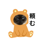 限定333専用（個別スタンプ：37）