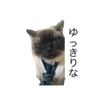 限定333専用（個別スタンプ：38）