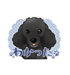 私の自慢の家族たち（個別スタンプ：4）
