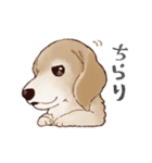私の自慢の家族たち（個別スタンプ：9）