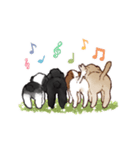 私の自慢の家族たち（個別スタンプ：16）
