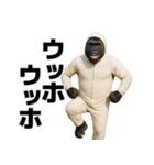 エッホエッホする赤ちゃん【面白い・ネタ】（個別スタンプ：3）