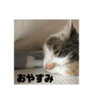 あいちゃんだよ①（個別スタンプ：2）