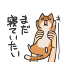 捕獲された猫スタンプ（個別スタンプ：1）