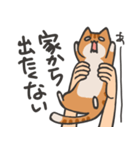 捕獲された猫スタンプ（個別スタンプ：4）