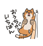 捕獲された猫スタンプ（個別スタンプ：5）