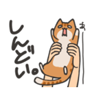 捕獲された猫スタンプ（個別スタンプ：10）