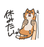 捕獲された猫スタンプ（個別スタンプ：12）