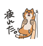 捕獲された猫スタンプ（個別スタンプ：13）