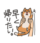 捕獲された猫スタンプ（個別スタンプ：17）