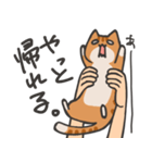 捕獲された猫スタンプ（個別スタンプ：20）